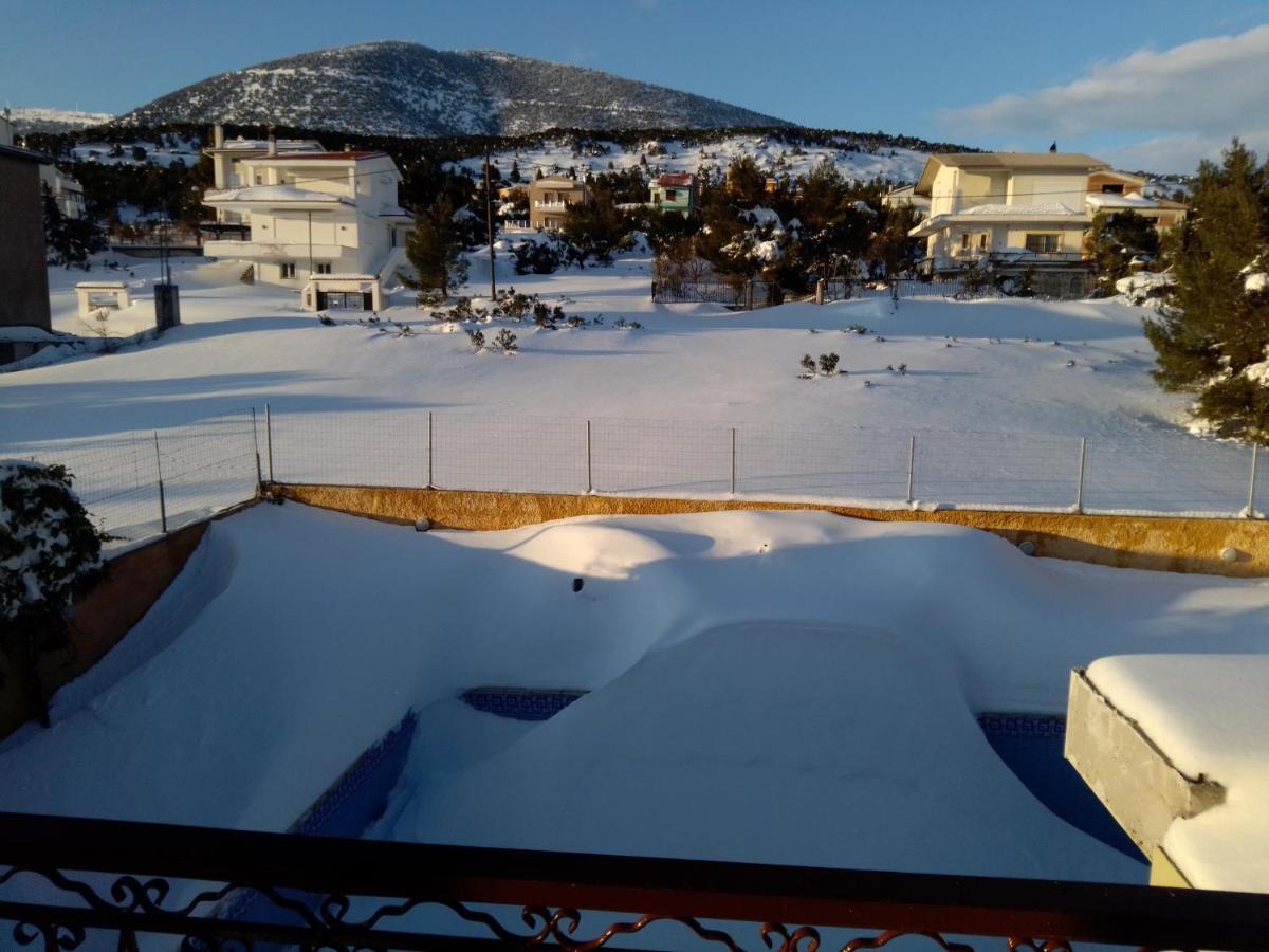 Xenonas Κithαiron Hotel Vília Kültér fotó