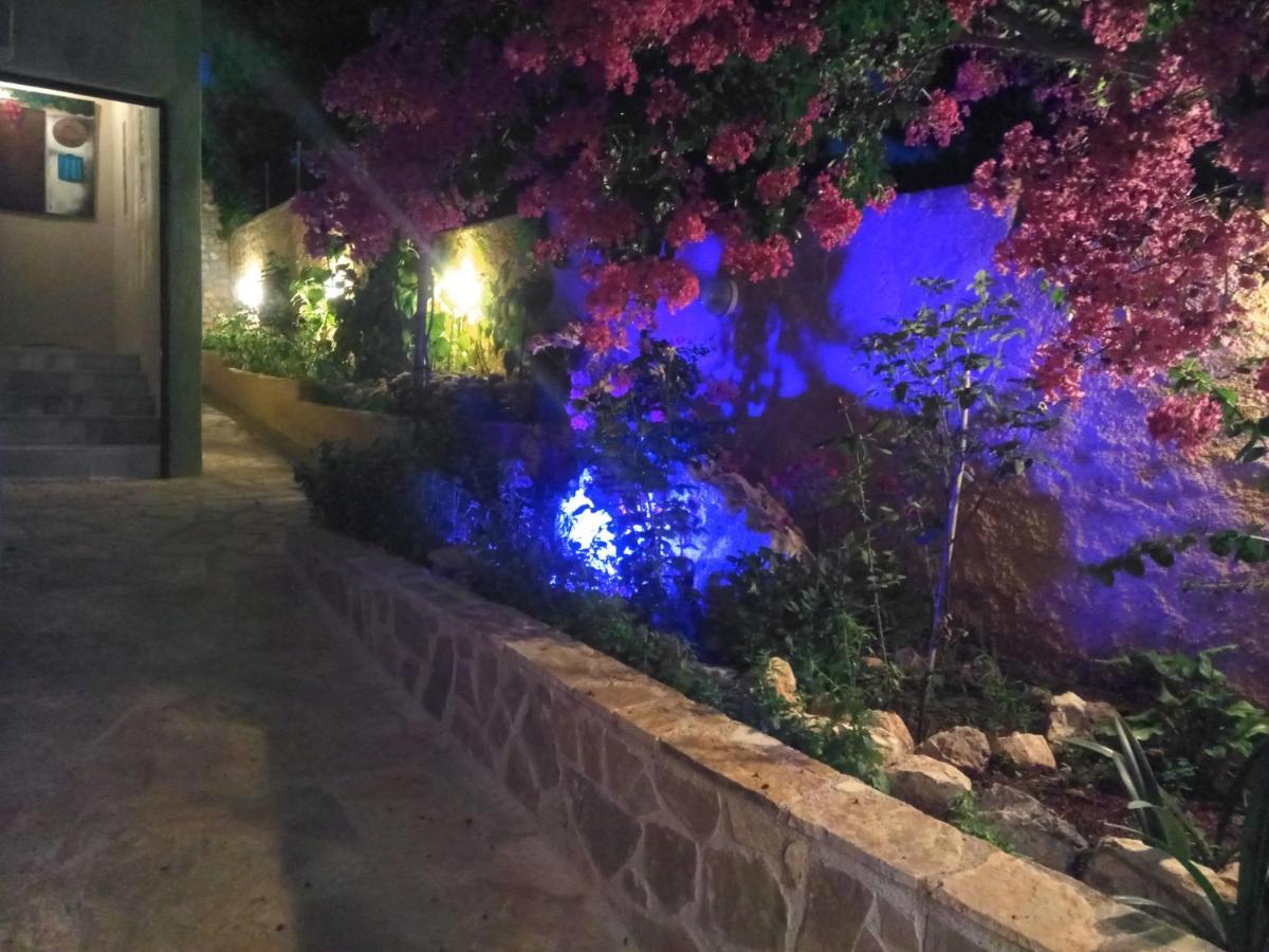 Xenonas Κithαiron Hotel Vília Kültér fotó